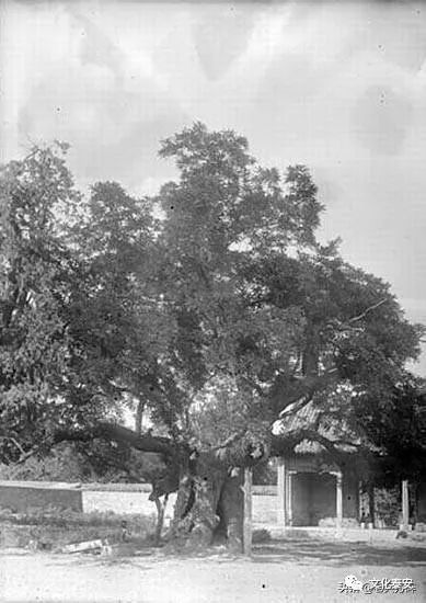 1907年的山东泰安府 泰山 曲阜县 孔庙,道观有哪些,道教符咒大全,哪里道观宫殿可以请到灵符咒?请符咒一般多少钱?请问买的道家符咒可以改变运势吗?网上买的灵符有用吗?