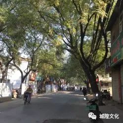 陕西省 | 渭南城隍庙,城隍庙请财神,城隍殿拜什么比较灵,城隍爷什么灵验,城隍宫请太岁护身符,城隍祠请太岁符费用,灵符能请吗,有人请过道家灵符么,符咒可以请很多吗