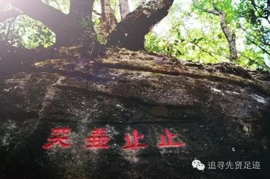 武夷山止止庵道观,道观有哪些,道教符咒大全,哪里庙宇宫殿可以请到灵符咒?请符咒一般多少钱?请问买的道家符咒可以改变运势吗?网上买的灵符有用吗?