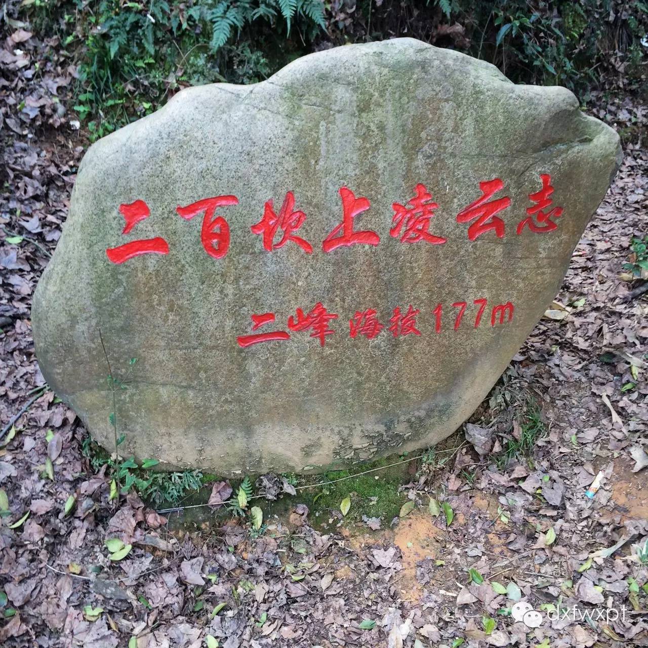 南平市延平区九峰山延平区圣公殿,道观有哪些,道教符咒大全,哪里庙宇宫殿可以请到灵符咒?请符咒一般多少钱?请问买的道家符咒可以改变运势吗?网上买的灵符有用吗?