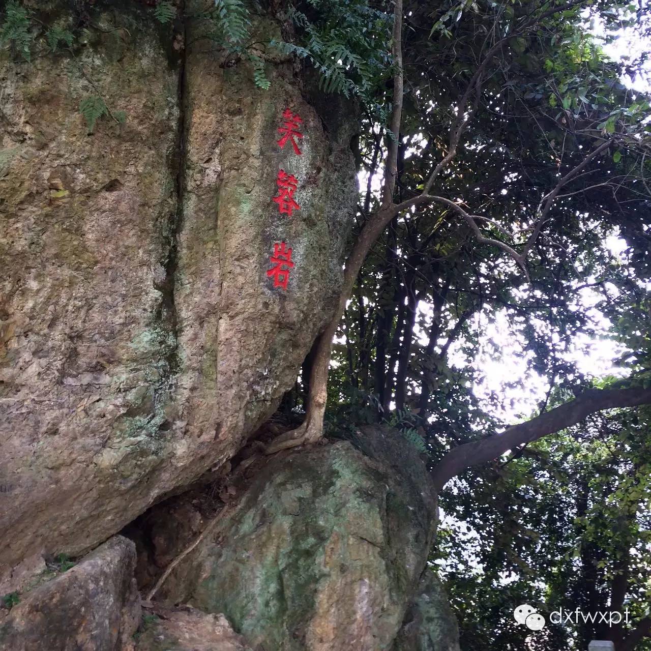 南平市延平区九峰山延平区圣公殿,道观有哪些,道教符咒大全,哪里庙宇宫殿可以请到灵符咒?请符咒一般多少钱?请问买的道家符咒可以改变运势吗?网上买的灵符有用吗?