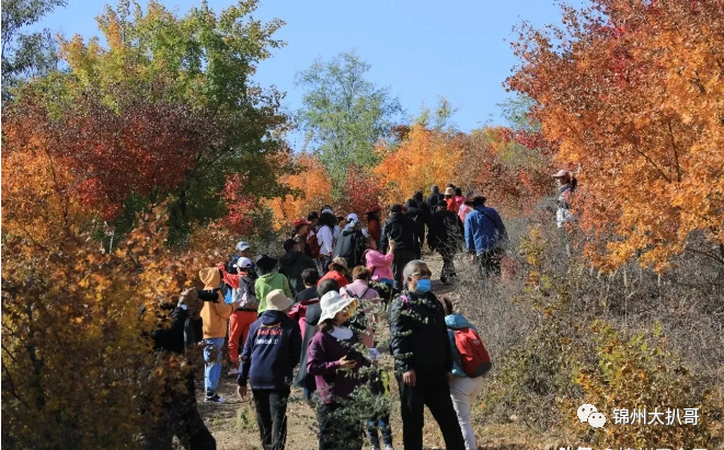 锦州义县“枫林谷”堪比世外桃源,道观有哪些,道教符咒大全,哪里庙宇宫殿可以请到灵符咒?请符咒一般多少钱?请问买的道家符咒可以改变运势吗?网上买的灵符有用吗?