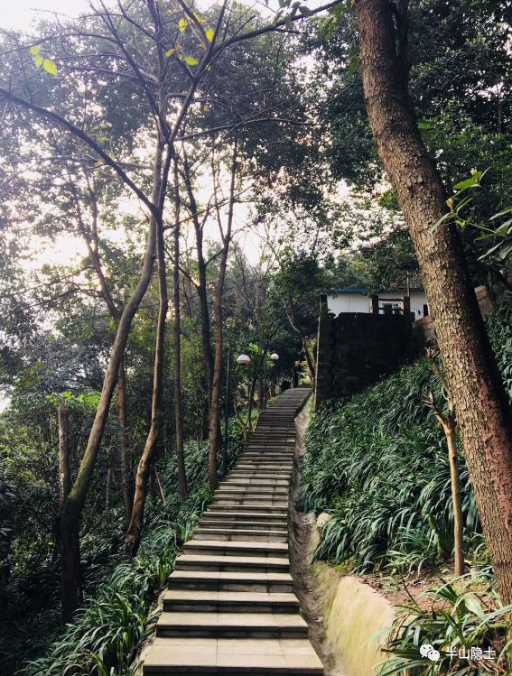 探寻平顶山龙泉洞道观,道观有哪些,道教符咒大全,哪里寺庙宫殿可以请到灵符?网上买的灵符一般多少钱?亲人家人长生牌,祭奠祖先做超渡法事,往生牌位请到寺庙供奉,代客祈福烧纸钱金元宝.