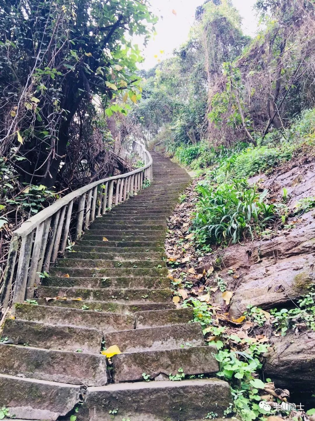 探寻平顶山龙泉洞道观,道观有哪些,道教符咒大全,哪里寺庙宫殿可以请到灵符?网上买的灵符一般多少钱?亲人家人长生牌,祭奠祖先做超渡法事,往生牌位请到寺庙供奉,代客祈福烧纸钱金元宝.