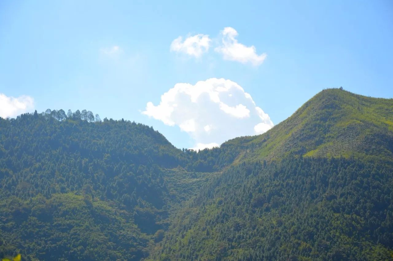 永州五峰铺高霞山道观风景、道观与诸多故事,道观有哪些,道教符咒大全,哪里寺庙宫殿可以请到灵符?网上买的灵符一般多少钱?亲人家人长生牌,祭奠祖先做超渡法事,往生牌位请到寺庙供奉,代客祈福烧纸钱金元宝.