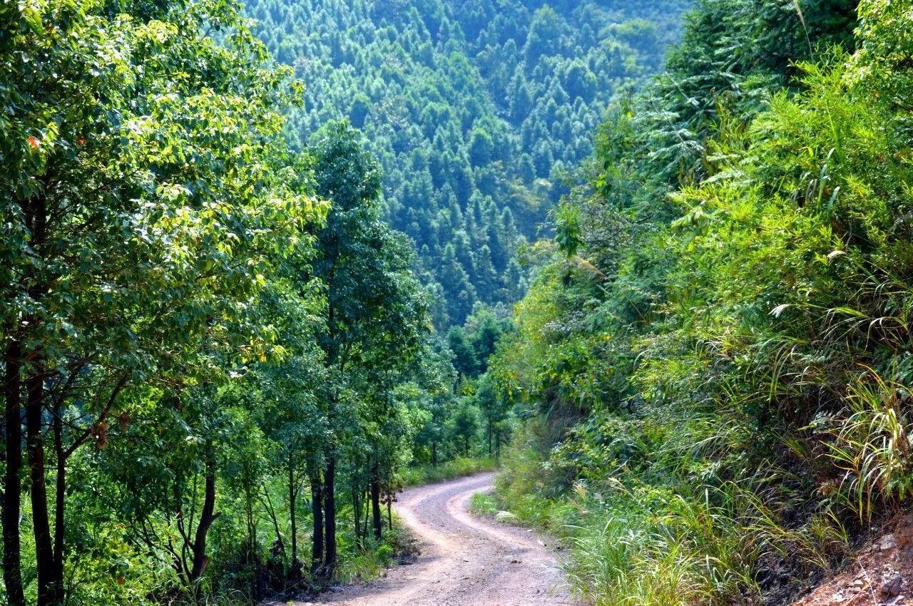 永州五峰铺高霞山道观风景、道观与诸多故事,道观有哪些,道教符咒大全,哪里寺庙宫殿可以请到灵符?网上买的灵符一般多少钱?亲人家人长生牌,祭奠祖先做超渡法事,往生牌位请到寺庙供奉,代客祈福烧纸钱金元宝.