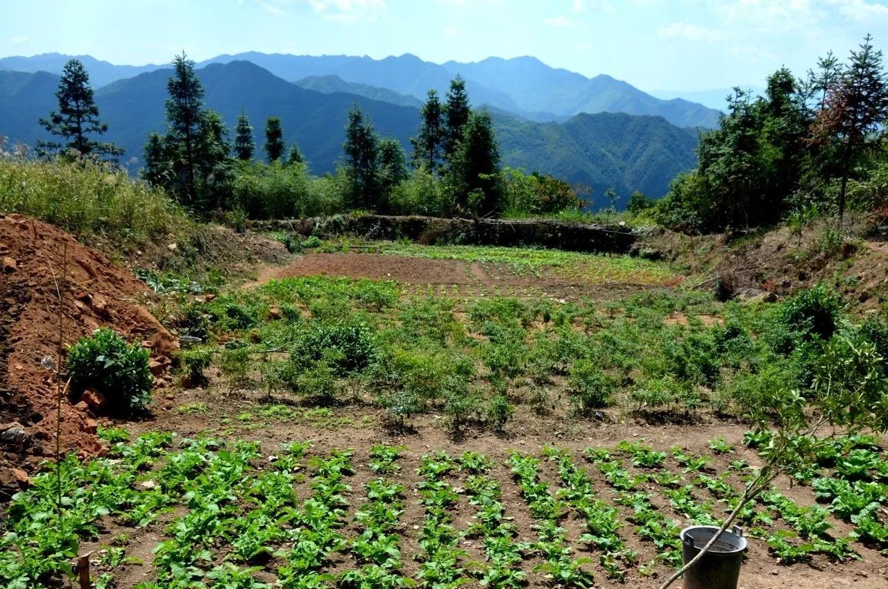 永州五峰铺高霞山道观风景、道观与诸多故事,道观有哪些,道教符咒大全,哪里寺庙宫殿可以请到灵符?网上买的灵符一般多少钱?亲人家人长生牌,祭奠祖先做超渡法事,往生牌位请到寺庙供奉,代客祈福烧纸钱金元宝.