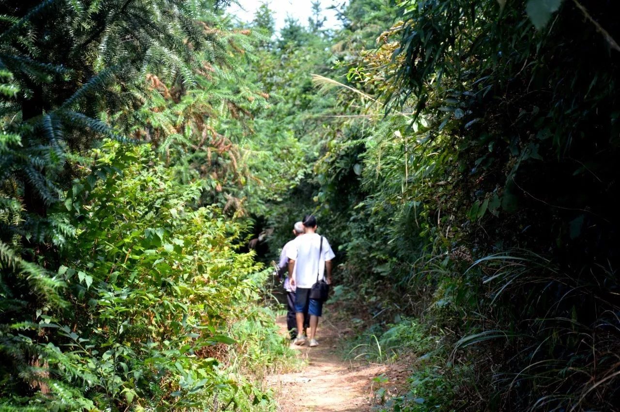 永州五峰铺高霞山道观风景、道观与诸多故事,道观有哪些,道教符咒大全,哪里寺庙宫殿可以请到灵符?网上买的灵符一般多少钱?亲人家人长生牌,祭奠祖先做超渡法事,往生牌位请到寺庙供奉,代客祈福烧纸钱金元宝.