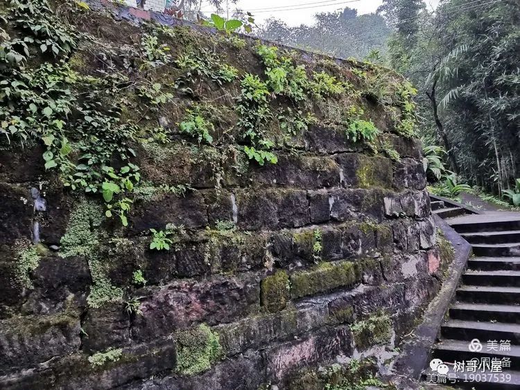 乐山牛华的城隍寺庙,城隍庙请财神,城隍殿拜什么比较灵,城隍爷什么灵验,城隍宫请太岁护身符,城隍祠请太岁符费用,灵符能请吗,有人请过道家灵符么,符咒可以请很多吗