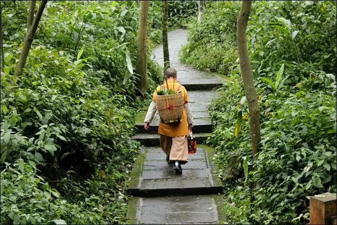 乐山 峨眉寺庙善觉寺,寺庙排行榜,佛教符咒大全,网上代供灯祭祖祈愿,道教财神庙代烧纸钱,替人供祈福牌,代挂祈福丝带任务,道观寺院里供养牌位,城隍殿长生往生牌位销售.