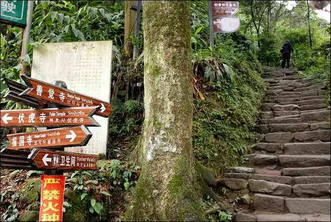 乐山 峨眉寺庙善觉寺,寺庙排行榜,佛教符咒大全,网上代供灯祭祖祈愿,道教财神庙代烧纸钱,替人供祈福牌,代挂祈福丝带任务,道观寺院里供养牌位,城隍殿长生往生牌位销售.