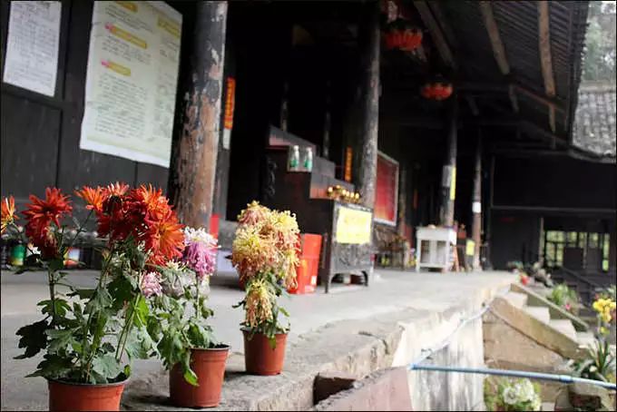 乐山 峨眉寺庙善觉寺,寺庙排行榜,佛教符咒大全,网上代供灯祭祖祈愿,道教财神庙代烧纸钱,替人供祈福牌,代挂祈福丝带任务,道观寺院里供养牌位,城隍殿长生往生牌位销售.