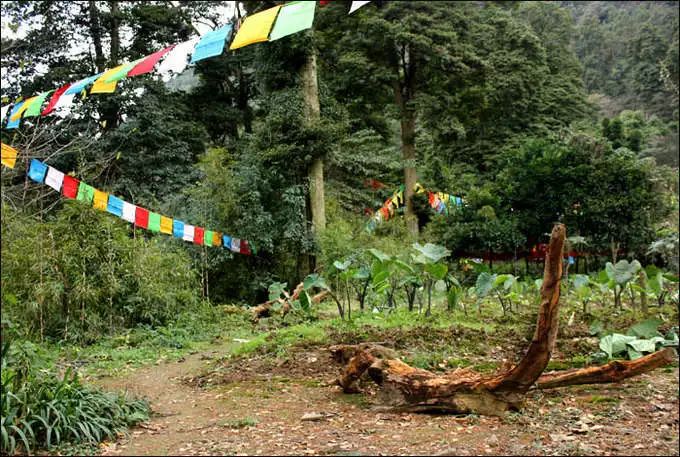 乐山 峨眉寺庙善觉寺,寺庙排行榜,佛教符咒大全,网上代供灯祭祖祈愿,道教财神庙代烧纸钱,替人供祈福牌,代挂祈福丝带任务,道观寺院里供养牌位,城隍殿长生往生牌位销售.