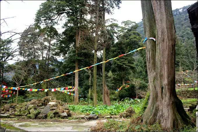 乐山 峨眉寺庙善觉寺,寺庙排行榜,佛教符咒大全,网上代供灯祭祖祈愿,道教财神庙代烧纸钱,替人供祈福牌,代挂祈福丝带任务,道观寺院里供养牌位,城隍殿长生往生牌位销售.