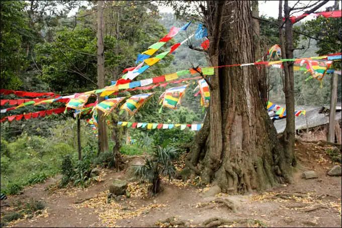 乐山 峨眉寺庙善觉寺,寺庙排行榜,佛教符咒大全,网上代供灯祭祖祈愿,道教财神庙代烧纸钱,替人供祈福牌,代挂祈福丝带任务,道观寺院里供养牌位,城隍殿长生往生牌位销售.