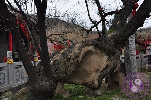 道教圣地—兴平黄山宫,道观有哪些,道教符咒大全,请灵符咒排行榜.