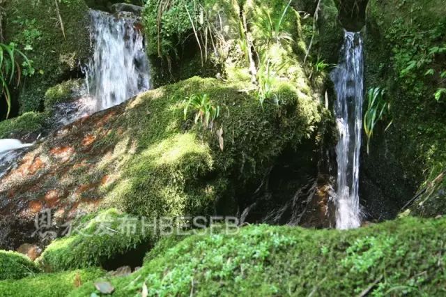 恩施云蒙山鬼谷子修炼地,道观有哪些,道教符咒大全,道观香火香油钱捐款的功德好处,做超度法事,哪里庙宇宫殿可以请到灵符?请符咒一般多少钱?请问买的道家符咒可以改变运势吗?网上买的灵符有用吗?