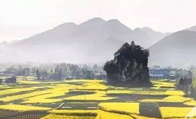 恩施的寺庙石柱观王爷庙地藏殿白衣庵石龙寺岩庙,道观有哪些,道教符咒大全,道观香火香油钱捐款的功德好处,做超度法事,哪里庙宇宫殿可以请到灵符?请符咒一般多少钱?请问买的道家符咒可以改变运势吗?网上买的灵