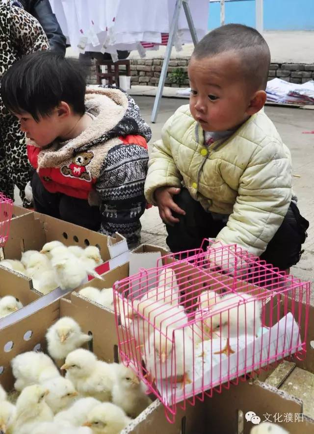 河南濮阳县龙堤庙古庙会,道观有哪些,道教符咒大全,香火香油钱捐款的功德好处,做超度法事,哪里庙宇宫殿可以请到灵符?请符咒一般多少钱?请问买的道家符咒可以改变运势吗?网上买的灵符有用吗?