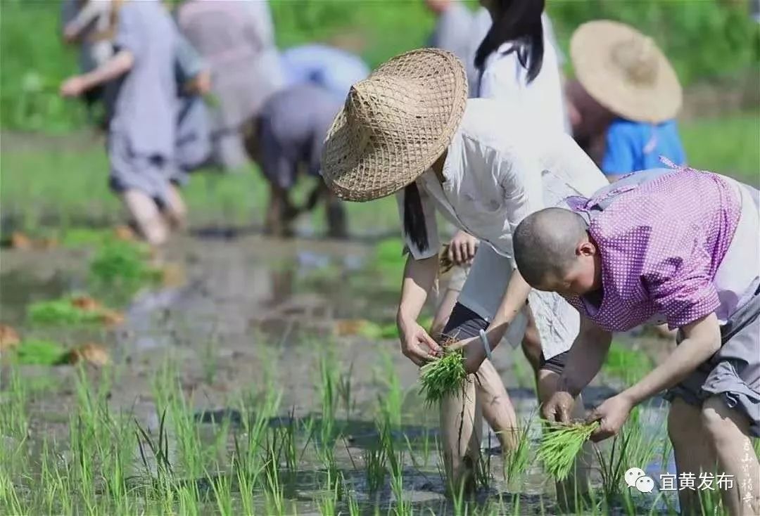 抚州市宗教活动场所规范管理工作现场会在宜黄召开  符咒批发 道教符咒 茅山符咒 符咒灵符 害人方法108种 十大害人符咒 害人法术大全 惩罚恶人的咒语 法事 超度法事 法事道场 手绘符 手绘灵符 道家招财符咒 网上祭奠 网上祭拜 在线许愿网 网上拜财神 代烧香 代烧香祈福 第13张