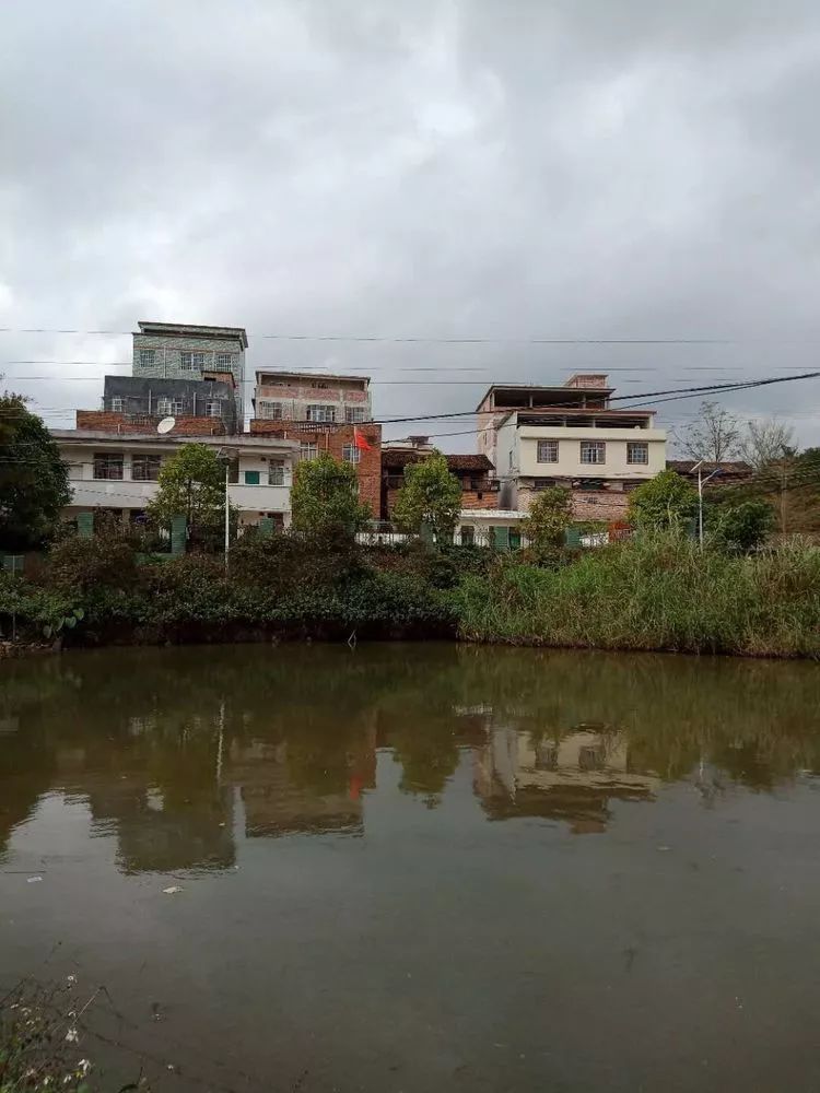 广西钦州市那扶苏氏宗祠重建落成庆典隆重举行！  符咒批发 道教符咒 茅山符咒 符咒灵符 害人方法108种 十大害人符咒 害人法术大全 惩罚恶人的咒语 法事 超度法事 法事道场 手绘符 手绘灵符 道家招财符咒 网上祭奠 网上祭拜 在线许愿网 网上拜财神 代烧香 代烧香祈福 第35张