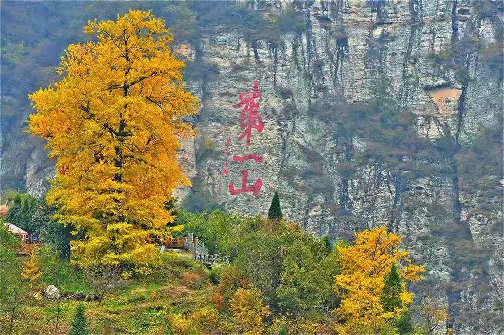 丹道入门修炼，要选择最上乘的秘法  符咒批发 道教符咒 茅山符咒 符咒灵符 害人方法108种 十大害人符咒 害人法术大全 惩罚恶人的咒语 法事 超度法事 法事道场 手绘符 手绘灵符 道家招财符咒 网上祭奠 网上祭拜 在线许愿网 网上拜财神 代烧香 代烧香祈福 第4张