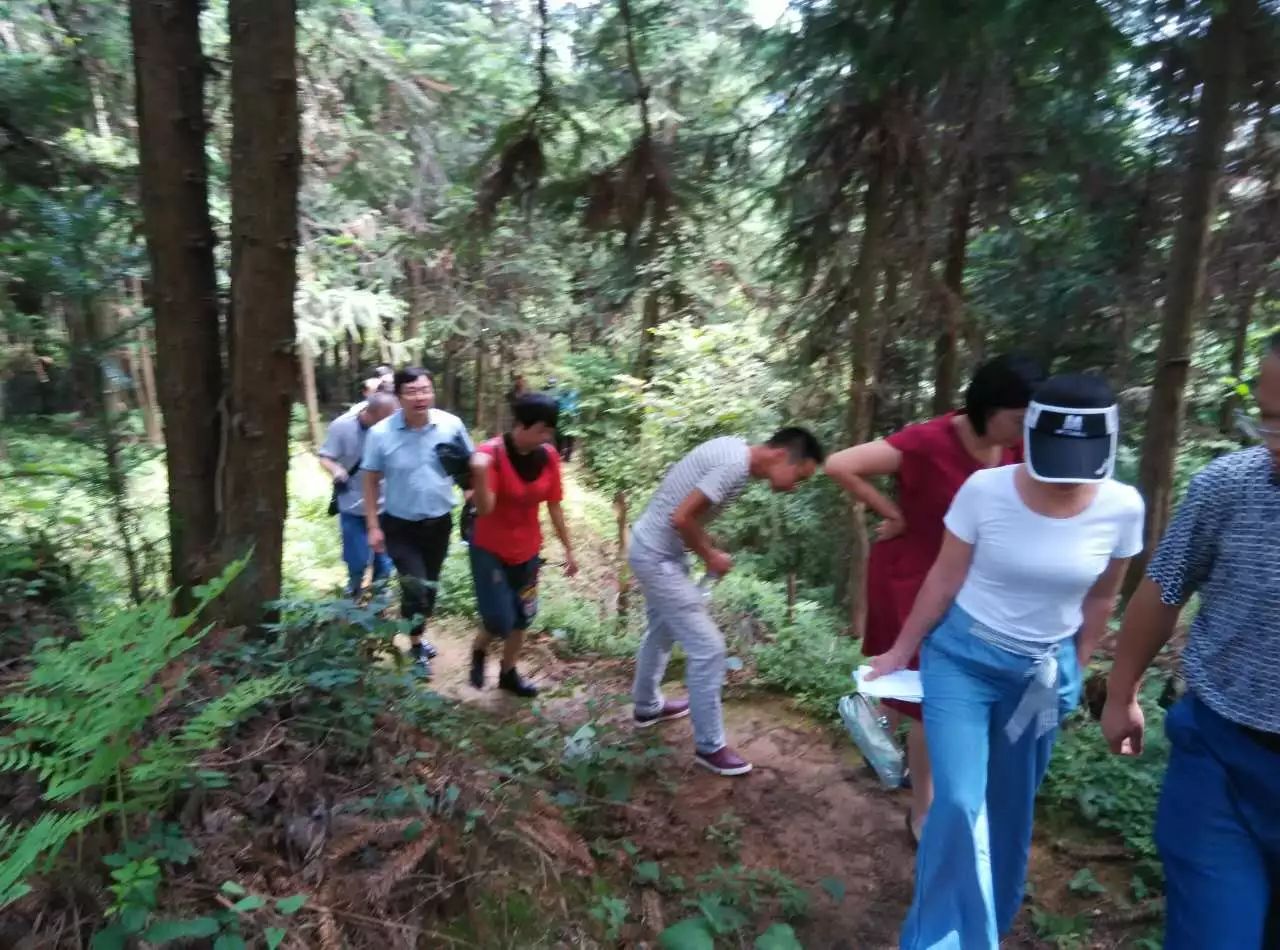 张家界紫霞观道观  符咒批发 道教符咒 茅山符咒 符咒灵符 害人方法108种 十大害人符咒 害人法术大全 惩罚恶人的咒语 法事 超度法事 法事道场 手绘符 手绘灵符 道家招财符咒 网上祭奠 网上祭拜 在线许愿网 网上拜财神 代烧香 代烧香祈福 第6张