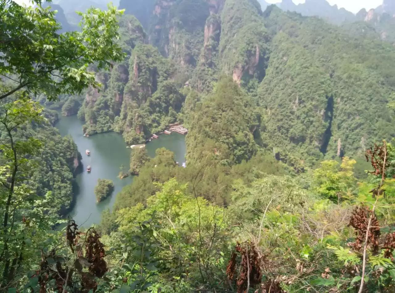 张家界紫霞观道观  符咒批发 道教符咒 茅山符咒 符咒灵符 害人方法108种 十大害人符咒 害人法术大全 惩罚恶人的咒语 法事 超度法事 法事道场 手绘符 手绘灵符 道家招财符咒 网上祭奠 网上祭拜 在线许愿网 网上拜财神 代烧香 代烧香祈福 第10张