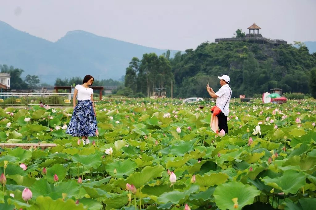 柳州鹿寨中渡城隍庙会,城隍庙请财神,城隍庙拜什么比较灵,城隍爷什么灵验,城隍庙请太岁护身符,城隍庙请太岁符费用,灵符能请吗,有人请过道家灵符么,灵符可以请很多吗