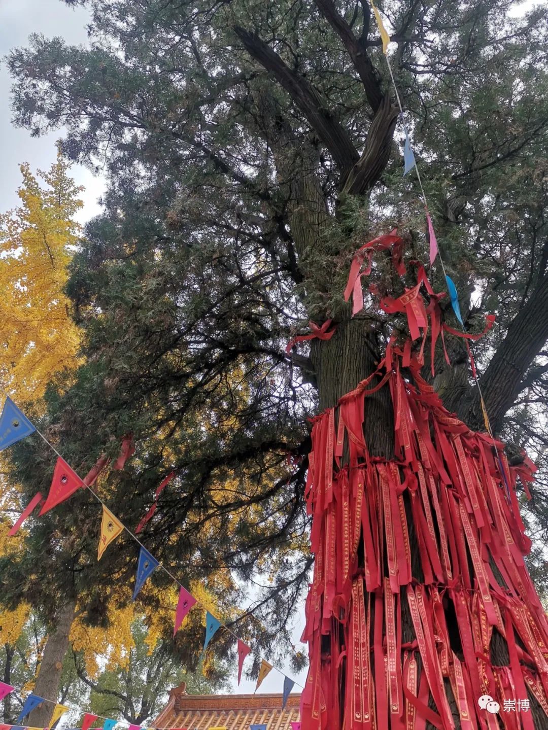 淄博市道教原山泰山行宫文昌城隍殿,城隍庙请财神,城隍庙拜什么比较灵,城隍爷什么灵验,城隍庙请太岁护身符,城隍庙请太岁符费用,灵符能请吗,有人请过道家灵符么,灵符可以请很多吗