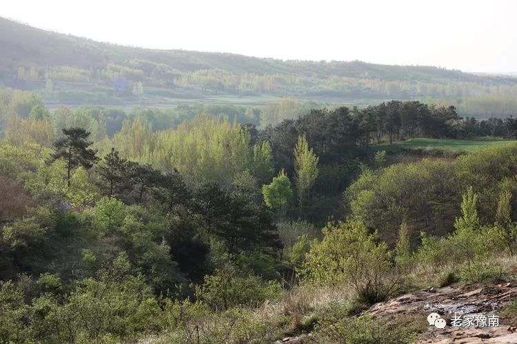 信阳西北第一峰天目山道观,道观有哪些,道教符咒大全,哪里寺庙宫殿可以请到灵符?网上买的灵符一般多少钱?亲人家人长生牌,祭奠祖先做超渡法事,往生牌位请到寺庙供奉,代客祈福烧纸钱金元宝.