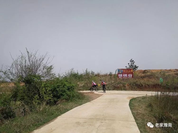 信阳西北第一峰天目山道观,道观有哪些,道教符咒大全,哪里寺庙宫殿可以请到灵符?网上买的灵符一般多少钱?亲人家人长生牌,祭奠祖先做超渡法事,往生牌位请到寺庙供奉,代客祈福烧纸钱金元宝.