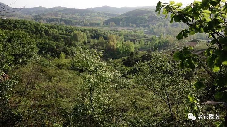 信阳西北第一峰天目山道观,道观有哪些,道教符咒大全,哪里寺庙宫殿可以请到灵符?网上买的灵符一般多少钱?亲人家人长生牌,祭奠祖先做超渡法事,往生牌位请到寺庙供奉,代客祈福烧纸钱金元宝.