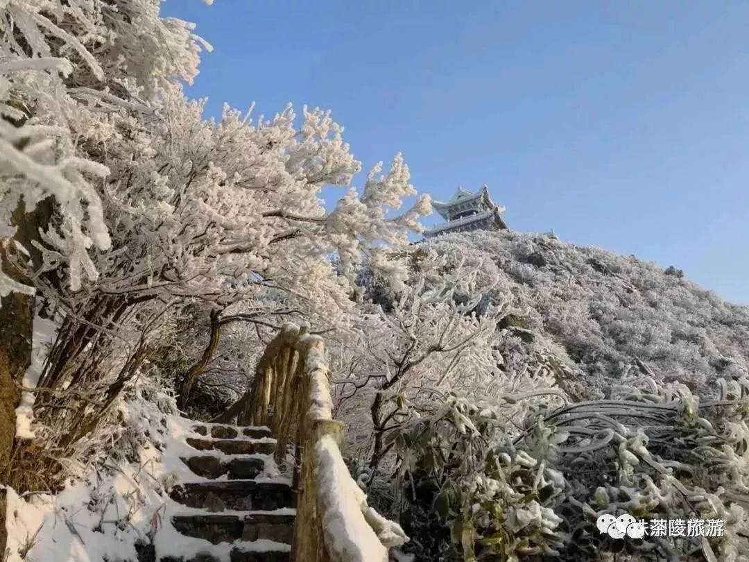 株洲这个地方有10多处道教仙境,道观有哪些,道教符咒大全,哪里寺庙宫殿可以请到灵符?网上买的灵符一般多少钱?亲人家人长生牌,祭奠祖先做超渡法事,往生牌位请到寺庙供奉,代客祈福烧纸钱金元宝.