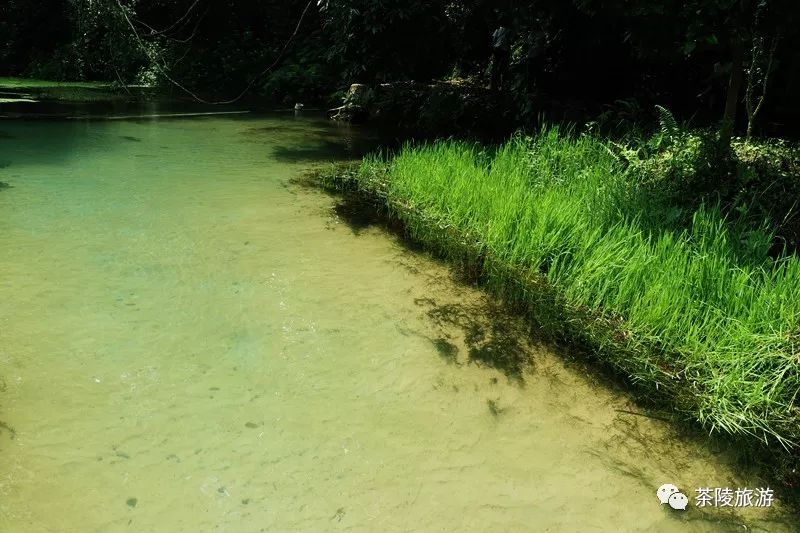 株洲这个地方有10多处道教仙境,道观有哪些,道教符咒大全,哪里寺庙宫殿可以请到灵符?网上买的灵符一般多少钱?亲人家人长生牌,祭奠祖先做超渡法事,往生牌位请到寺庙供奉,代客祈福烧纸钱金元宝.