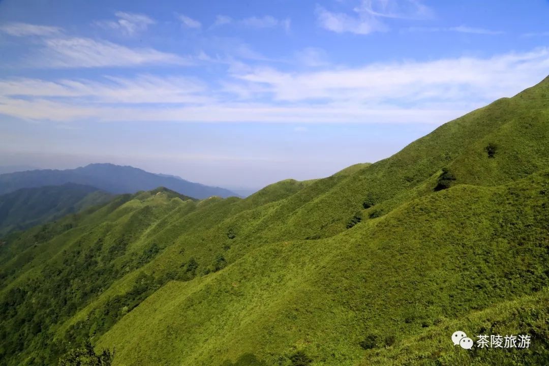 株洲这个地方有10多处道教仙境,道观有哪些,道教符咒大全,哪里寺庙宫殿可以请到灵符?网上买的灵符一般多少钱?亲人家人长生牌,祭奠祖先做超渡法事,往生牌位请到寺庙供奉,代客祈福烧纸钱金元宝.