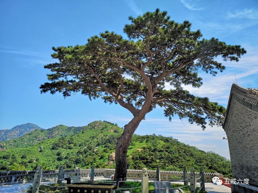 秦皇岛山海关二郎庙道观,道观有哪些,道教符咒大全,哪里寺庙宫殿可以请到灵符?网上买的灵符一般多少钱?亲人家人长生牌,祭奠祖先做超渡法事,往生牌位请到寺庙供奉,代客祈福烧纸钱金元宝.