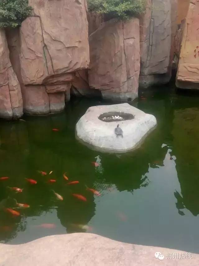 荆州关公庙关帝庙关羽祠，为什么被尊奉为当地城隍爷