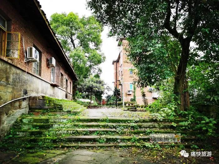 四川自贡：寻访天池山下的井神寺庙遗址  符咒批发 道教符咒 茅山符咒 符咒灵符 害人方法108种 十大害人符咒 害人法术大全 惩罚恶人的咒语 法事 超度法事 法事道场 手绘符 手绘灵符 道家招财符咒 网上祭奠 网上祭拜 在线许愿网 网上拜财神 代烧香 代烧香祈福 第8张