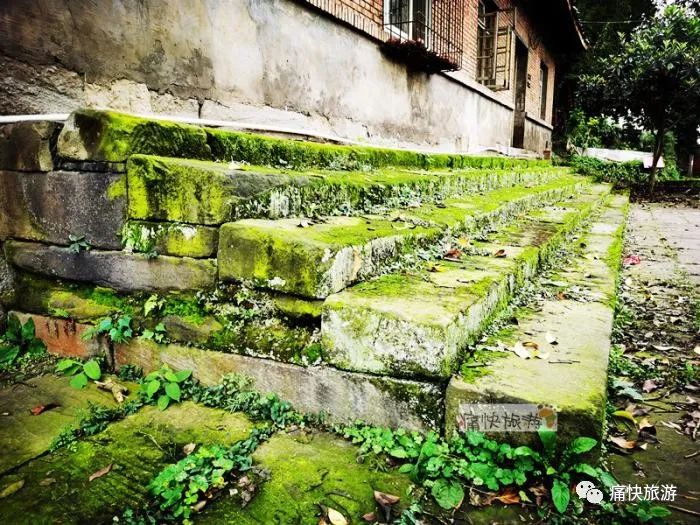 四川自贡：寻访天池山下的井神寺庙遗址  符咒批发 道教符咒 茅山符咒 符咒灵符 害人方法108种 十大害人符咒 害人法术大全 惩罚恶人的咒语 法事 超度法事 法事道场 手绘符 手绘灵符 道家招财符咒 网上祭奠 网上祭拜 在线许愿网 网上拜财神 代烧香 代烧香祈福 第9张