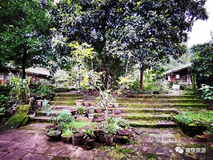 四川自贡：寻访天池山下的井神寺庙遗址  符咒批发 道教符咒 茅山符咒 符咒灵符 害人方法108种 十大害人符咒 害人法术大全 惩罚恶人的咒语 法事 超度法事 法事道场 手绘符 手绘灵符 道家招财符咒 网上祭奠 网上祭拜 在线许愿网 网上拜财神 代烧香 代烧香祈福 第13张