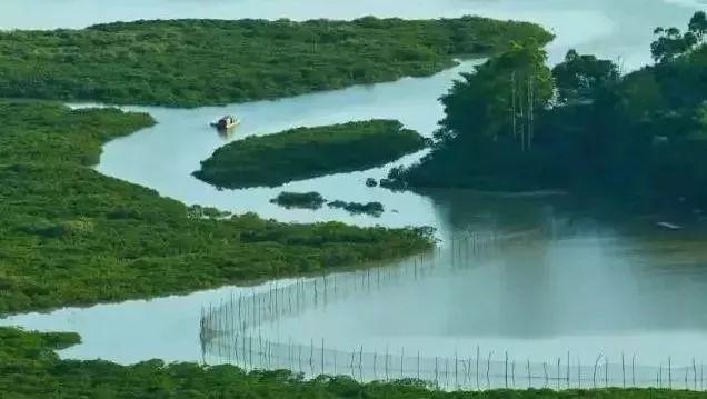 防城港有哪些道观万尾金滩 水口大王庙 仙人山  符咒批发 道教符咒 茅山符咒 符咒灵符 害人方法108种 十大害人符咒 害人法术大全 惩罚恶人的咒语 法事 超度法事 法事道场 手绘符 手绘灵符 道家招财符咒 网上祭奠 网上祭拜 在线许愿网 网上拜财神 代烧香 代烧香祈福 第19张