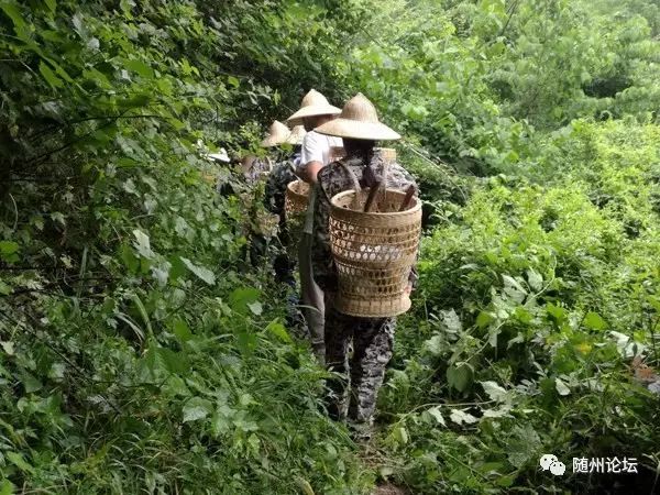 神秘随州九寨谷道观！随州这座数百年无人涉足的深山密林，被发现以后···  符咒批发 道教符咒 茅山符咒 符咒灵符 害人方法108种 十大害人符咒 害人法术大全 惩罚恶人的咒语 法事 超度法事 法事道场 手绘符 手绘灵符 道家招财符咒 网上祭奠 网上祭拜 在线许愿网 网上拜财神 代烧香 代烧香祈福 第8张