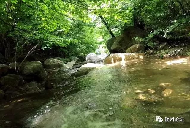 神秘随州九寨谷道观！随州这座数百年无人涉足的深山密林，被发现以后···  符咒批发 道教符咒 茅山符咒 符咒灵符 害人方法108种 十大害人符咒 害人法术大全 惩罚恶人的咒语 法事 超度法事 法事道场 手绘符 手绘灵符 道家招财符咒 网上祭奠 网上祭拜 在线许愿网 网上拜财神 代烧香 代烧香祈福 第14张