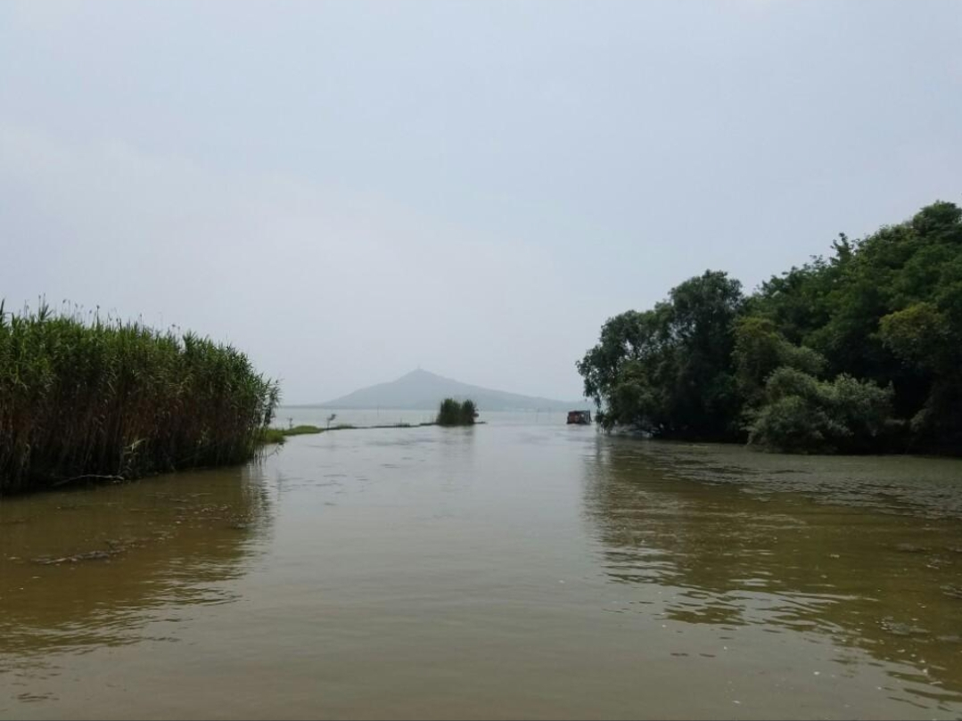 道家文化的道，不是玄学，也不是客观规律，而是“先天地生”的道  符咒批发 道教符咒 茅山符咒 符咒灵符 害人方法108种 十大害人符咒 害人法术大全 惩罚恶人的咒语 法事 超度法事 法事道场 手绘符 手绘灵符 道家招财符咒 网上祭奠 网上祭拜 在线许愿网 网上拜财神 代烧香 代烧香祈福 第3张