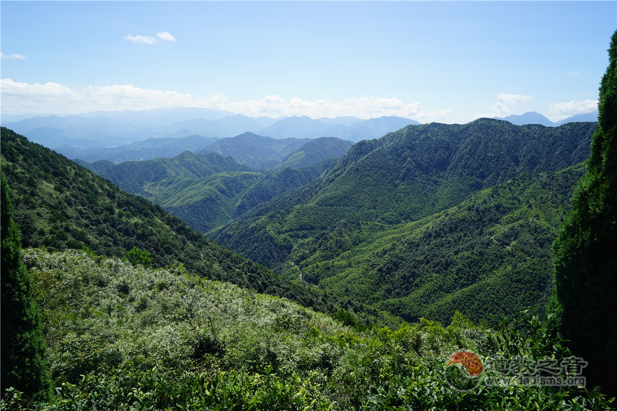 江西上饶铅山县葛仙山道教道观寺庙  符咒批发 道教符咒 茅山符咒 符咒灵符 害人方法108种 十大害人符咒 害人法术大全 惩罚恶人的咒语 法事 超度法事 法事道场 手绘符 手绘灵符 道家招财符咒 网上祭奠 网上祭拜 在线许愿网 网上拜财神 代烧香 代烧香祈福 第7张