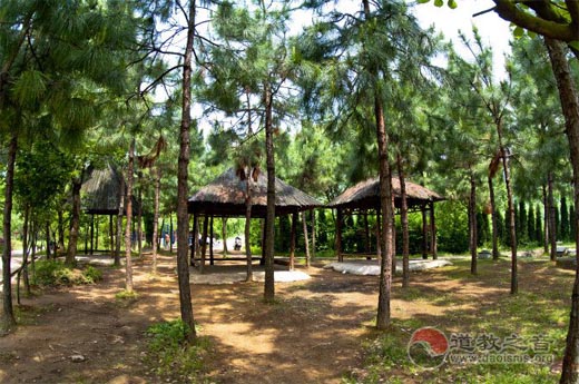 浙江金华赤松黄大仙宫道教寺庙道观  符咒批发 道教符咒 茅山符咒 符咒灵符 害人方法108种 十大害人符咒 害人法术大全 惩罚恶人的咒语 法事 超度法事 法事道场 手绘符 手绘灵符 道家招财符咒 网上祭奠 网上祭拜 在线许愿网 网上拜财神 代烧香 代烧香祈福 第2张