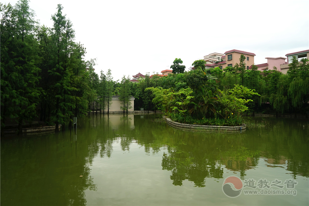 广东省东莞市虎门郭真人古庙道教寺院道观  符咒批发 道教符咒 茅山符咒 符咒灵符 害人方法108种 十大害人符咒 害人法术大全 惩罚恶人的咒语 法事 超度法事 法事道场 手绘符 手绘灵符 道家招财符咒 网上祭奠 网上祭拜 在线许愿网 网上拜财神 代烧香 代烧香祈福 第8张